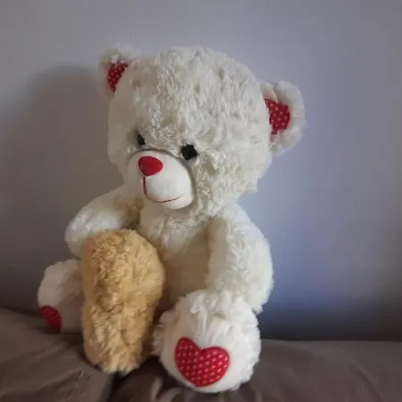 Crew 2 Auberge de jeunesse