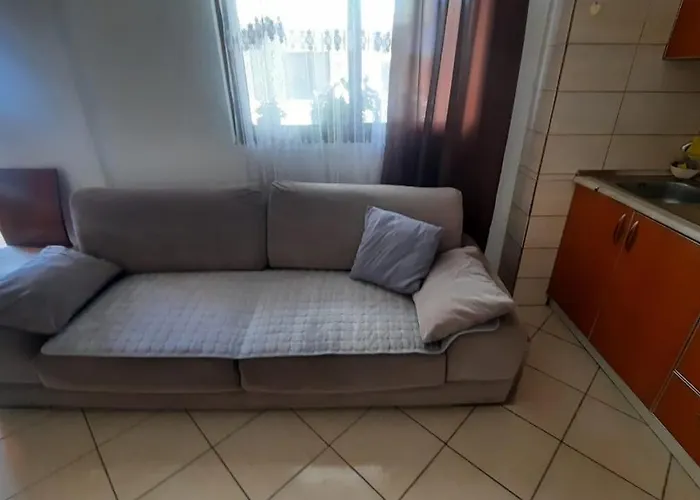 بيت شباب Crew 2 *